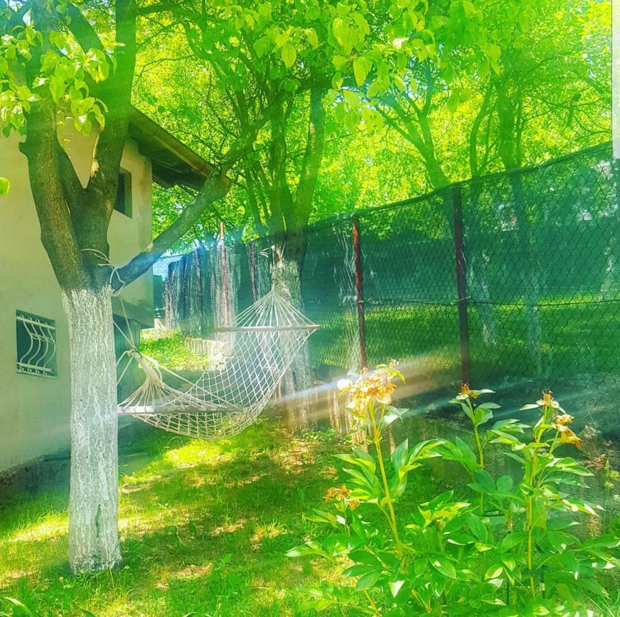 Villa Keep Calm Garden Sarajevo Exterior foto
